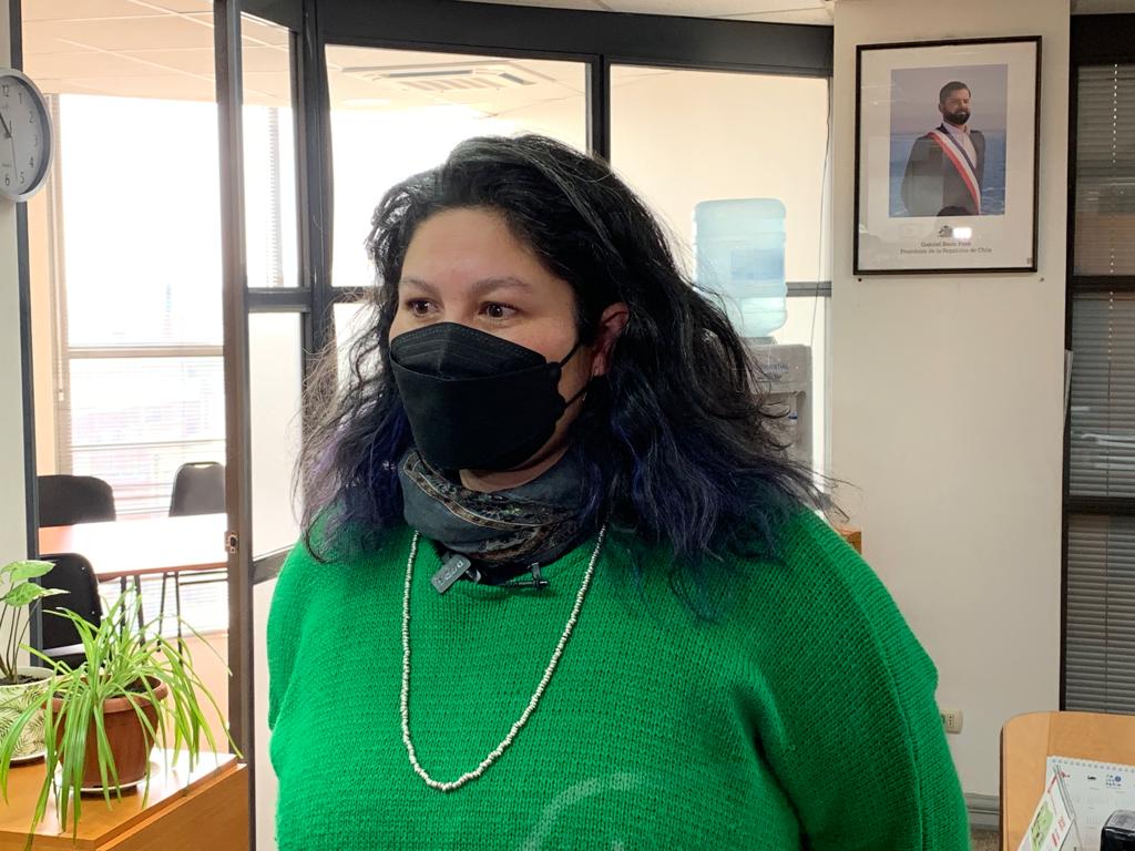 Seremi de Salud: Precipitar y extender las vacaciones escolares “es una medida para minimizar la circulación viral”