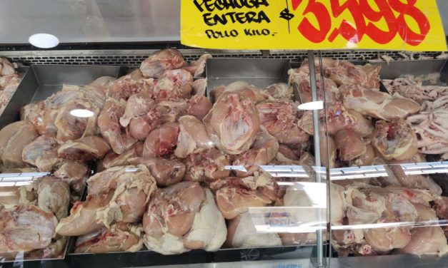 Seremi de Salud O´Higgins decomisa más de 760 Kilos de pollo no apto para el consumo humano