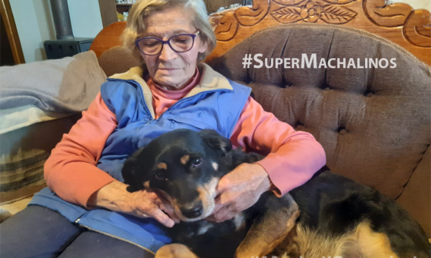 #SuperMachalinos: Conoce a Nelly Toro, la mujer de 82 años que alimenta a los perros callejeros de Machalí