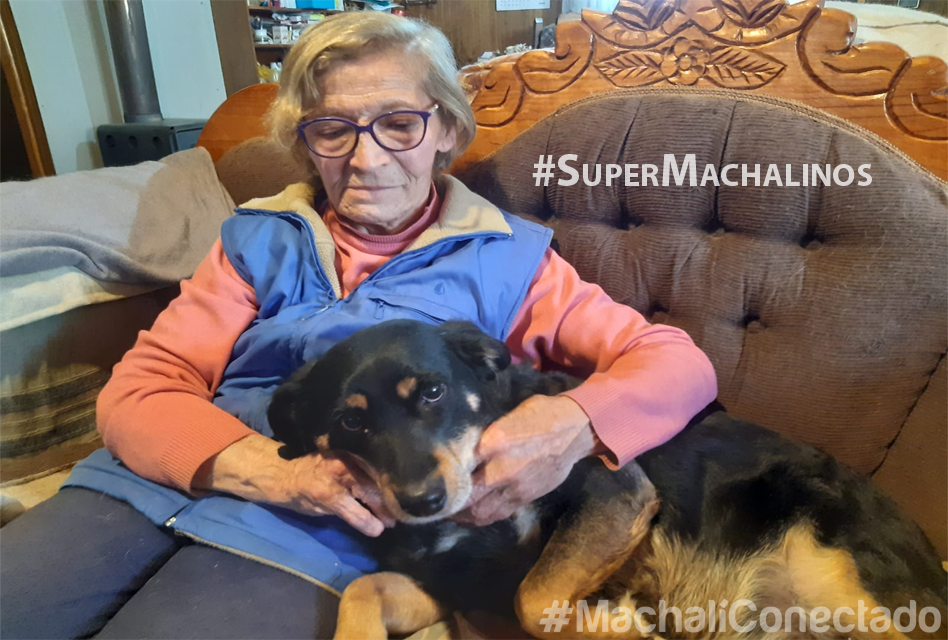 #SuperMachalinos: Conoce a Nelly Toro, la mujer de 82 años que alimenta a los perros callejeros de Machalí