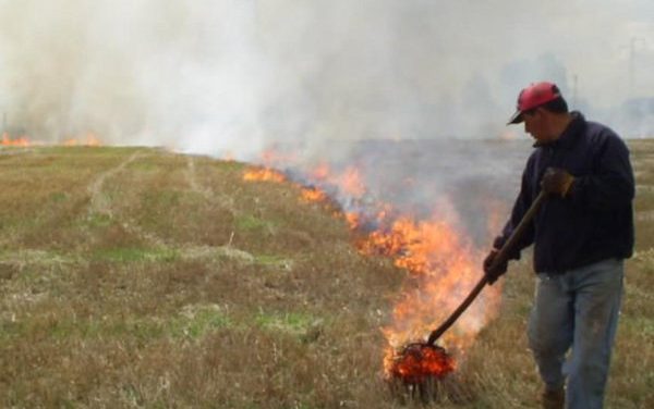 Suspenden quemas agrícolas controladas para todas las comunas de la Región de O’Higgins