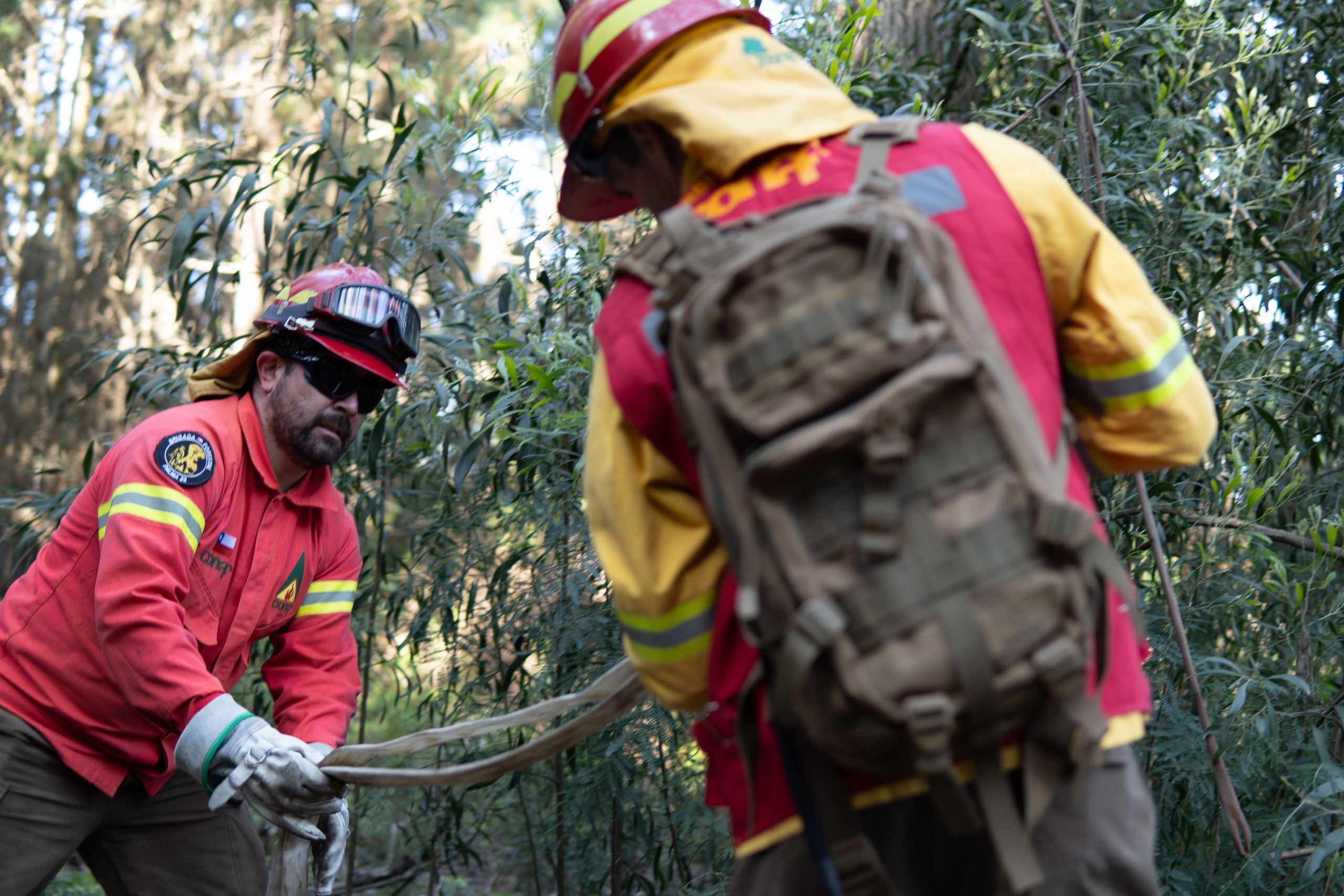 Conaf O’Higgins hace llamado para ser parte de los brigadistas de incendios