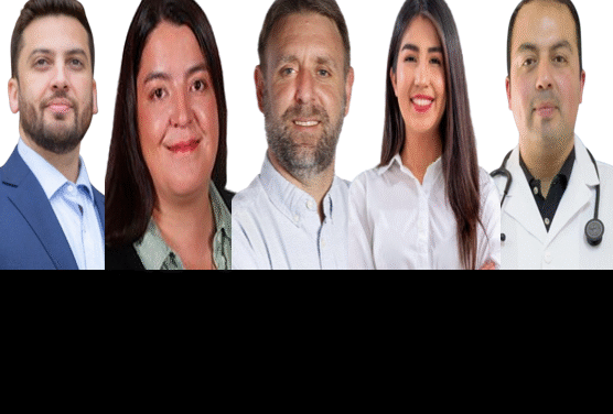 Diputados electos por el distrito 15