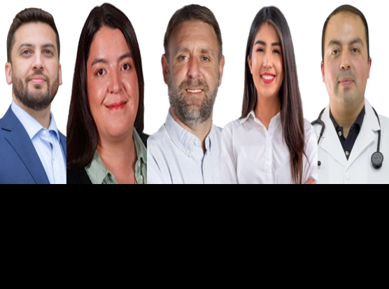 Diputados electos por el distrito 15