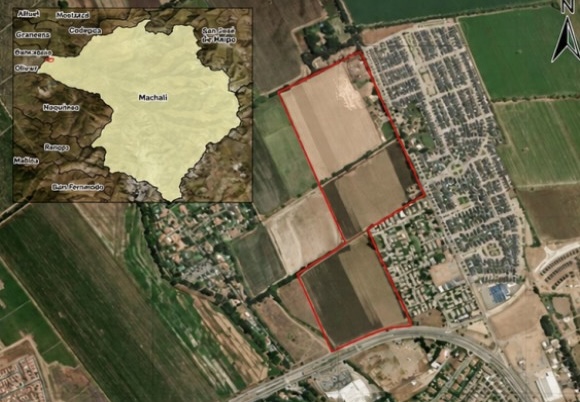 Más Taco: Preocupación por proyecto que busca construir más de 450 viviendas en Machali